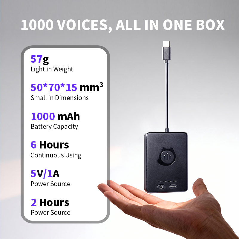 Dubbing Box: Mobile Real-Time AI Voice Changer